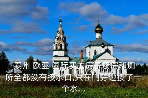  泰州 欧亚 国际买的房子厨房和厕所全都没有接水口,只在门旁边按了一个水...