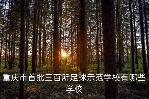 江北同创国际小学,江北新村同创国际小学怎么样