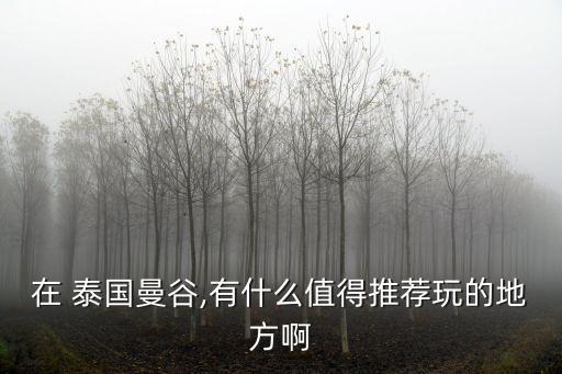 在 泰国曼谷,有什么值得推荐玩的地方啊