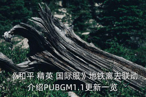 芜湖县精英国际