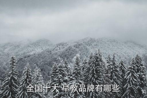 全国十大 早教品牌有哪些