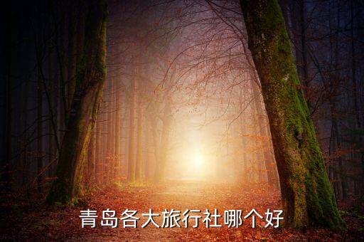 青岛各大旅行社哪个好