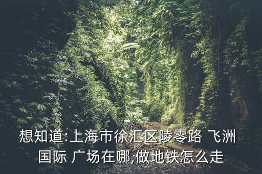 飞洲国际广场个人出租,上海飞洲国际广场奥特莱斯