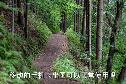 移动的手机卡出国可以正常使用吗