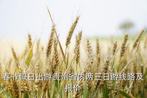 春节假日出游贵州省内两三日游线路及报价
