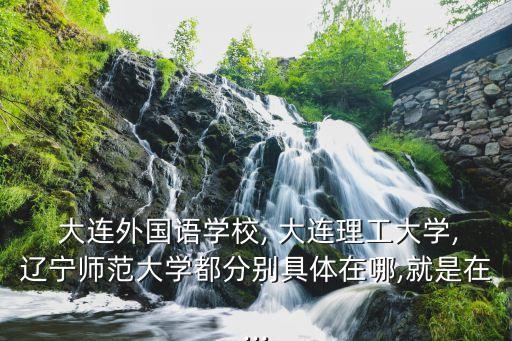  大连外国语学校, 大连理工大学,辽宁师范大学都分别具体在哪,就是在...