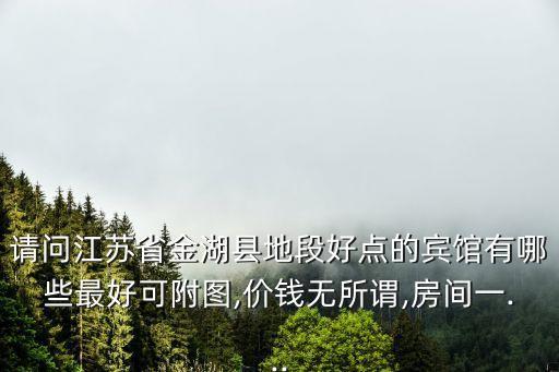 请问江苏省金湖县地段好点的宾馆有哪些最好可附图,价钱无所谓,房间一...
