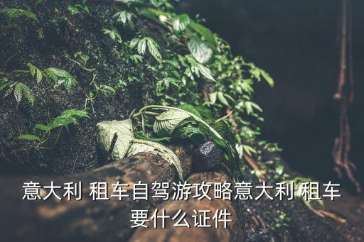 去国外旅游租车要驾照吗,国外旅游租车app哪个好