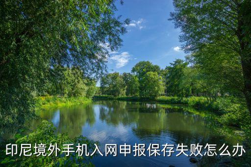 印尼境外手机入网申报保存失败怎么办