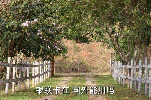 什么卡在国外可以刷卡吗,去国外刷卡应该用什么信用卡