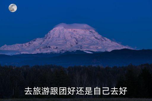 去旅游跟团好还是自己去好