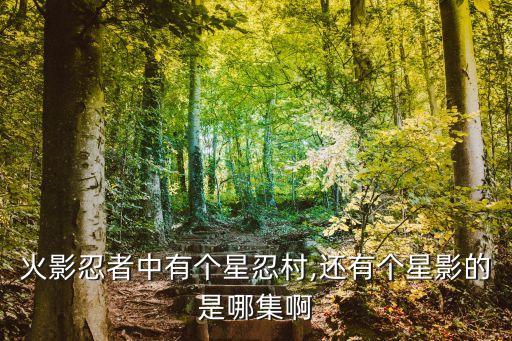 星影美国际影城,星影国际影城在哪里