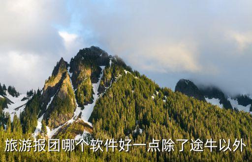 旅游报团哪个软件好一点除了途牛以外