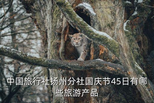 中国旅行社扬州分社国庆节45日有哪些旅游产品