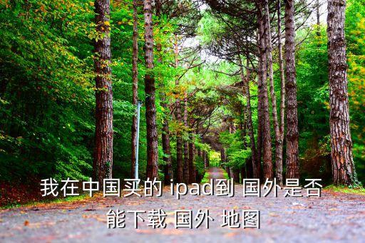 ipad 国外离线地图,国外离线地图导航软件哪个好