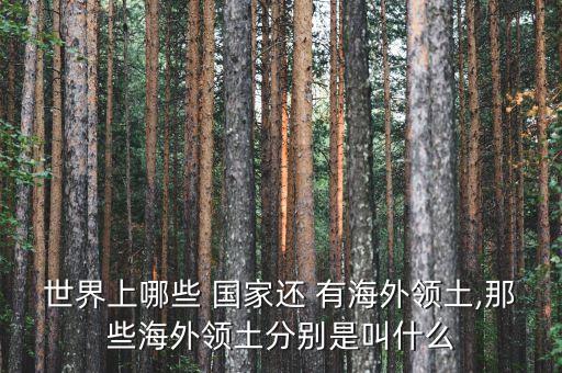 世界上哪些 国家还 有海外领土,那些海外领土分别是叫什么