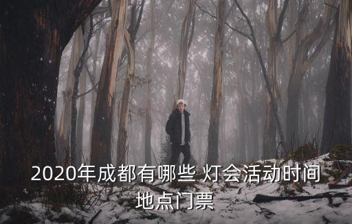 历届自贡国际恐龙灯会举办时间