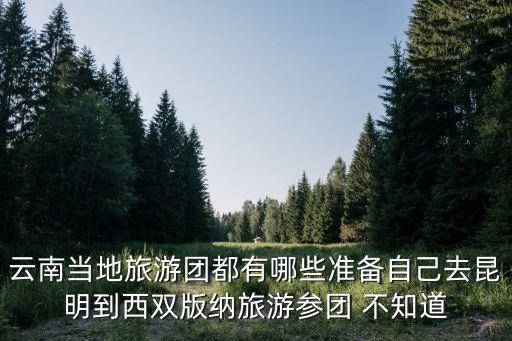 云南旅游报团旅行社，云南旅游团那家旅行社安排比较好