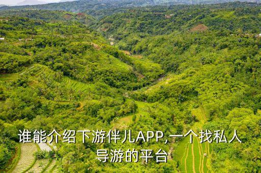 国外找导游什么软件好,导游软件哪个好?导游在家怎么找?