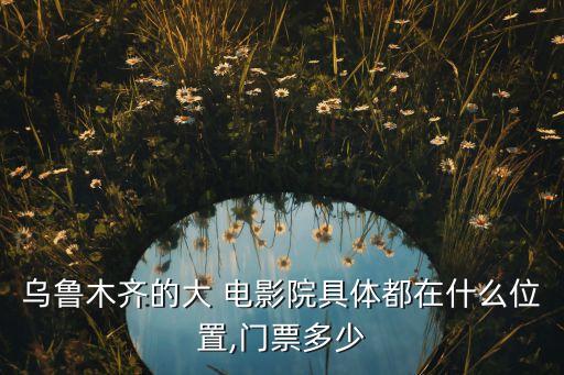 乌鲁木齐的大 电影院具体都在什么位置,门票多少