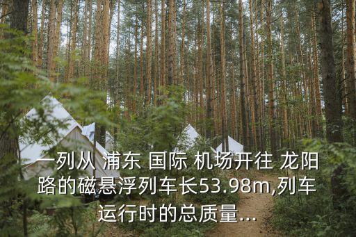 浦东国际机场到龙阳路,浦东机场到上海站