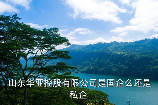  山东华亚控股有限公司是国企么还是私企