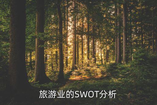 旅游业的SWOT分析