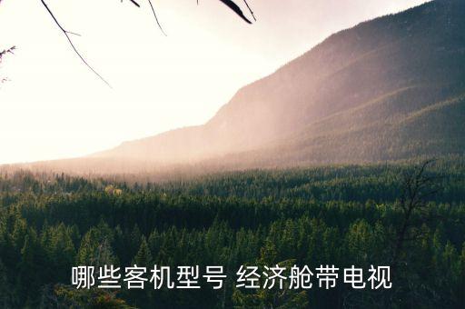 国际航班经济舱照片,买国际机票哪个网站最便宜