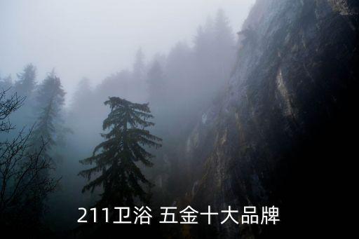 211卫浴 五金十大品牌