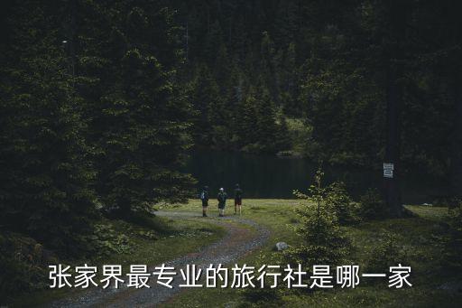 张家界最专业的旅行社是哪一家