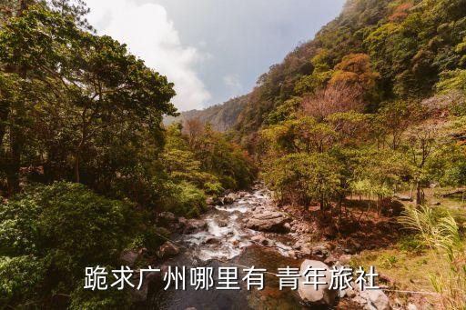 跪求广州哪里有 青年旅社