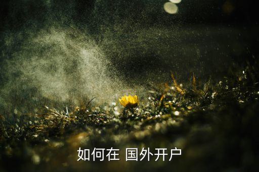 如何在 国外开户