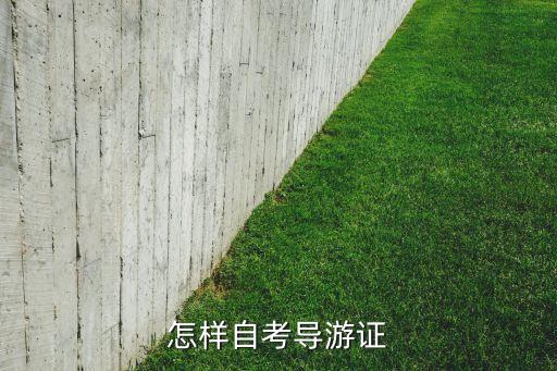 怎样自考导游证
