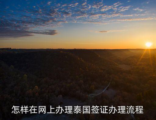 泰国签证网上申请，怎样在网上办理泰国签证办理流程