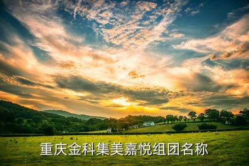 重庆金科集美嘉悦组团名称