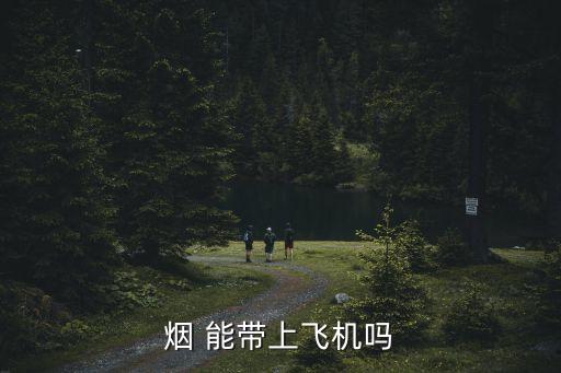 烟 能带上飞机吗