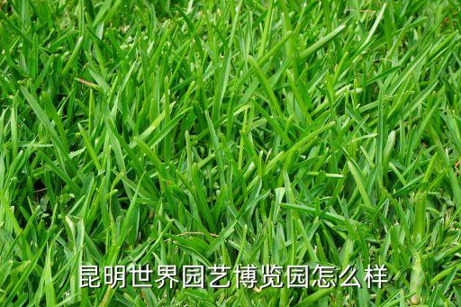  昆明世界园艺博览园怎么样