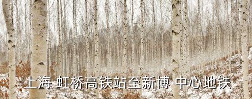  上海 虹桥高铁站至新博 中心地铁