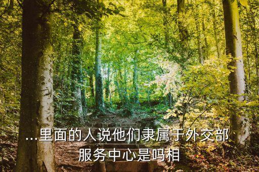 ...里面的人说他们隶属于外交部 服务中心是吗相