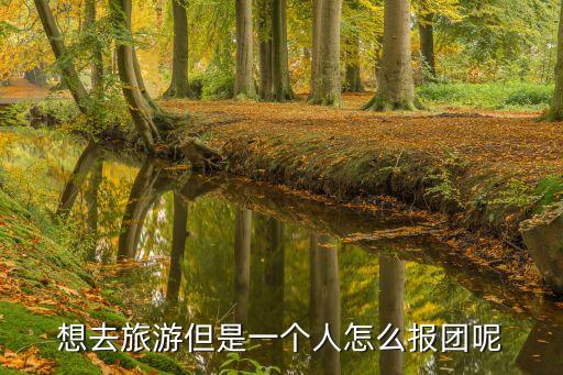网上怎么报旅游团旅游，想去旅游但是一个人怎么报团呢
