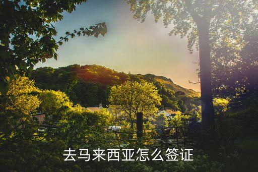 去马来西亚怎么签证