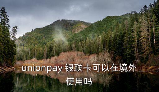 银联国际外派