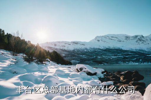 东方丽雅(北京)国际服装服饰有限公司