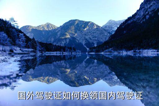 国外驾照转回泸州,从国外驾照转国内需要什么手续?