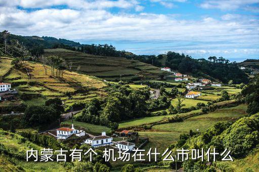 海拉尔国际机场,呼伦贝尔海拉尔国际机场