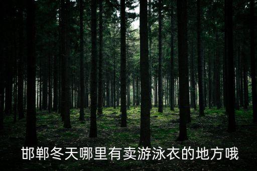 邯郸鑫港国际轻纺城,邯郸现代轻纺城赵顺旭