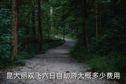 昆大丽双飞六日自助游大概多少费用