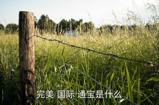 完美 国际 通宝是什么