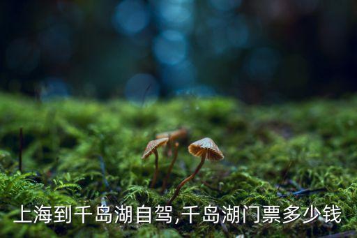 重庆南路269号上海巴士国际旅行社电话