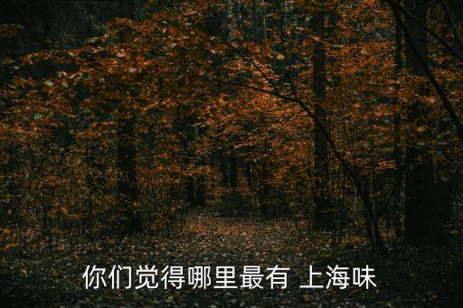 你们觉得哪里最有 上海味